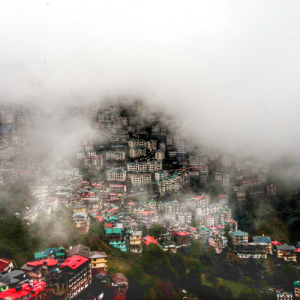 Shimla